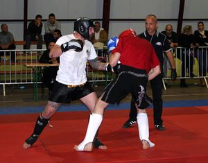 Championnat Régional Kick Boxing 2014 2
