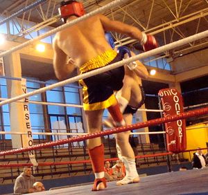 Championnat Régional Kick Boxing 2010 8