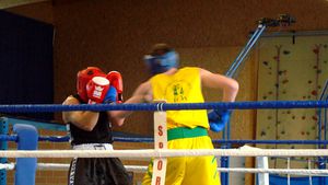 Gala de boxe 2011 8
